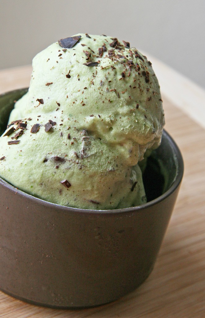 Mint Chocolate Chip Coconut Milk Ice Cream Granite Chiropractic